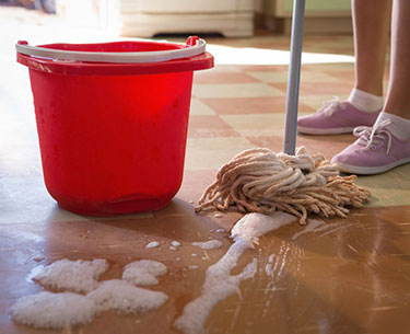  Restaurant  Floor Cleaning in Albuquerque